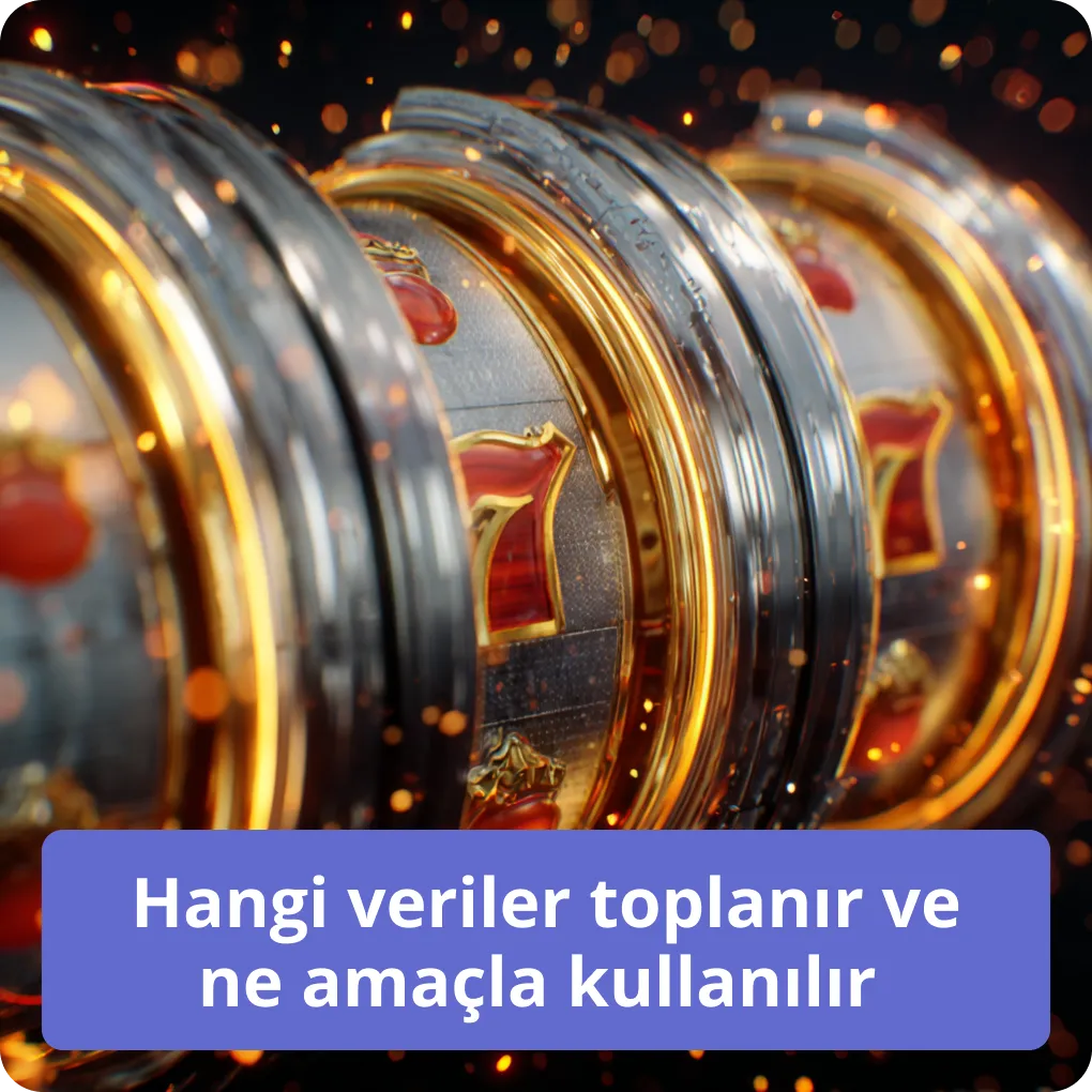 Hangi veriler toplanır ve ne amaçla kullanılır 