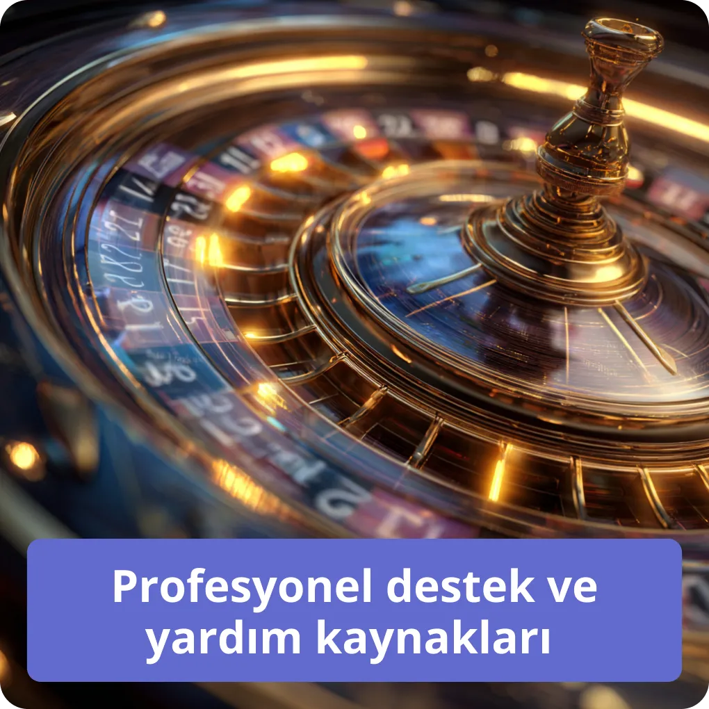 Profesyonel destek ve yardım kaynakları 
