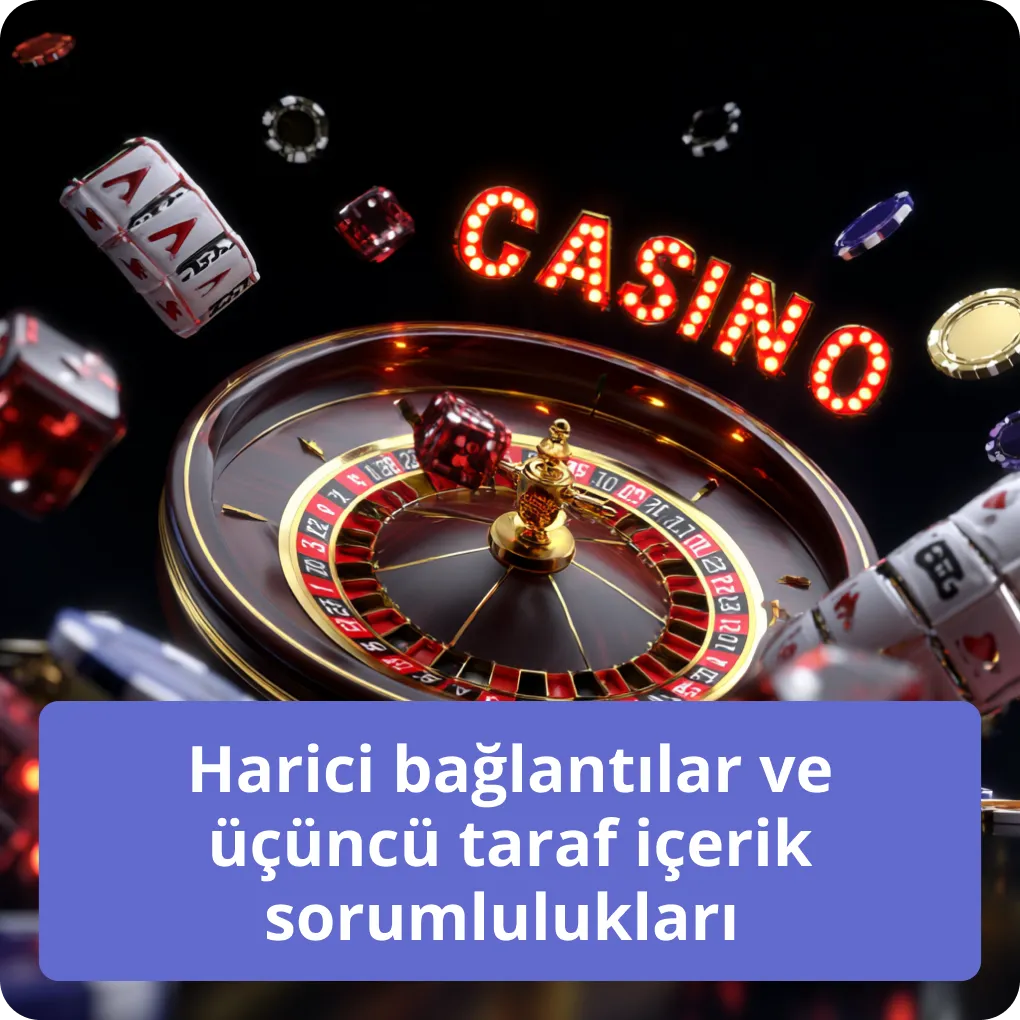 Harici bağlantılar ve üçüncü taraf içerik sorumlulukları 