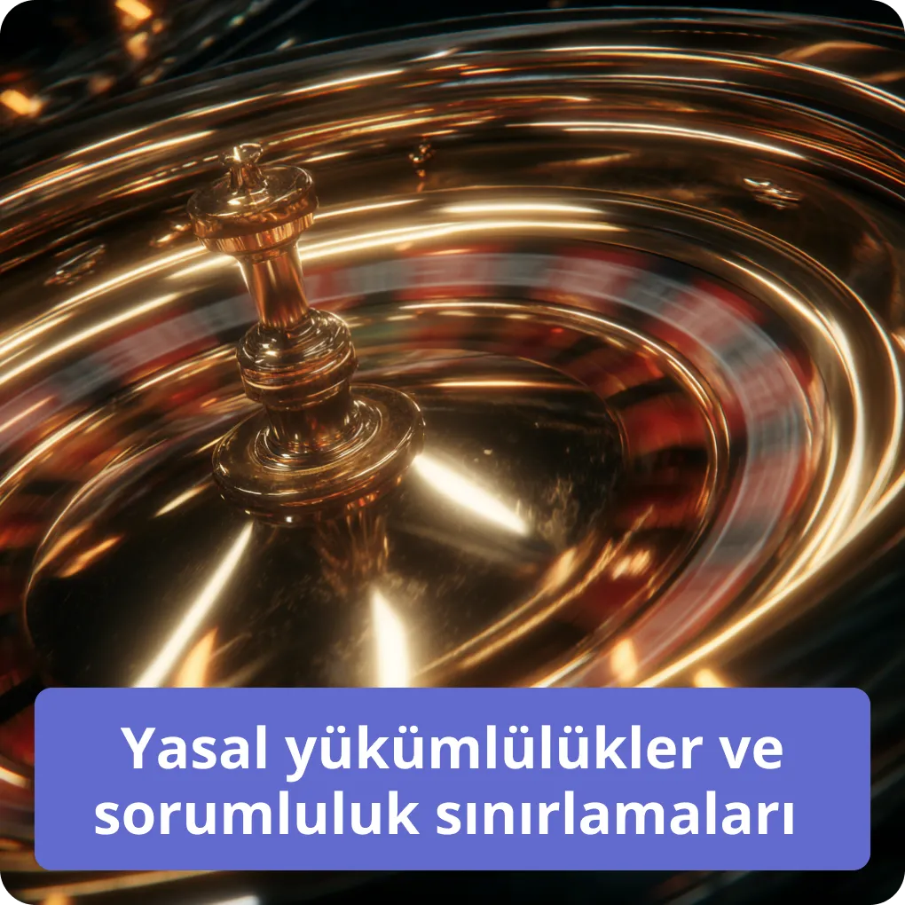 Yasal yükümlülükler ve sorumluluk sınırlamaları 