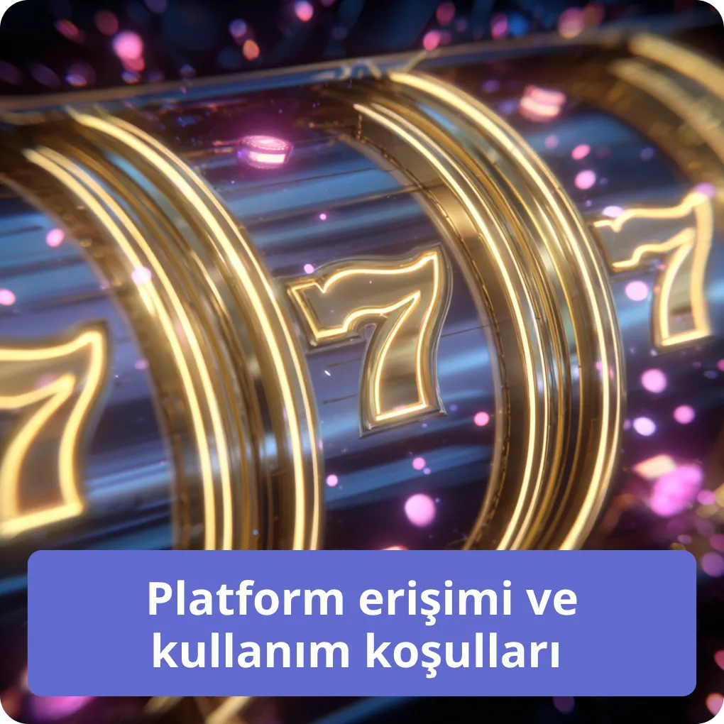 Platform erişimi ve kullanım koşulları 
