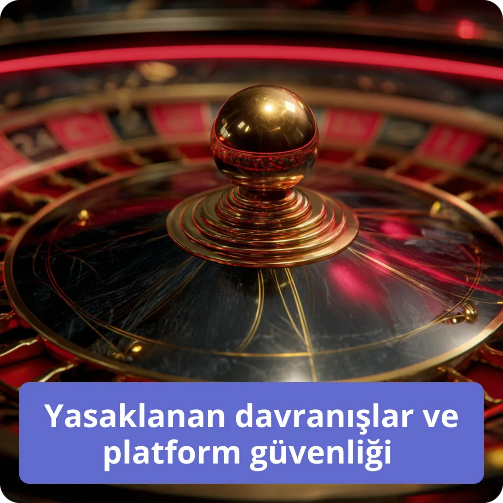 Yasaklanan davranışlar ve platform güvenliği 
