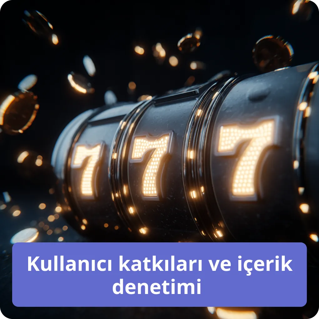 Kullanıcı katkıları ve içerik denetimi 